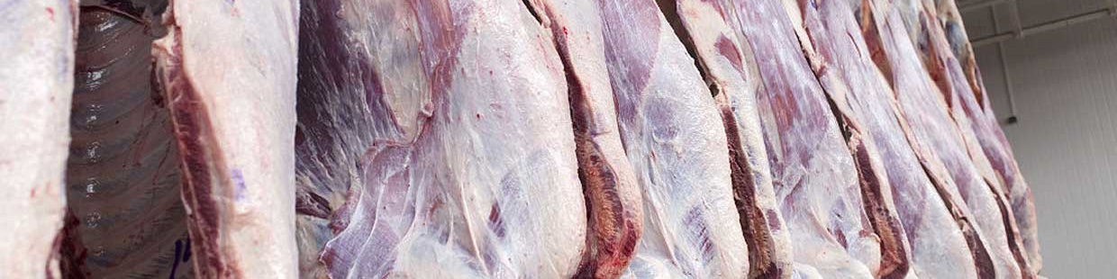 التهاب مجدد قیمت گوشت قرمز در بازار/ خروج غیرقانونی دام از مرز بانه